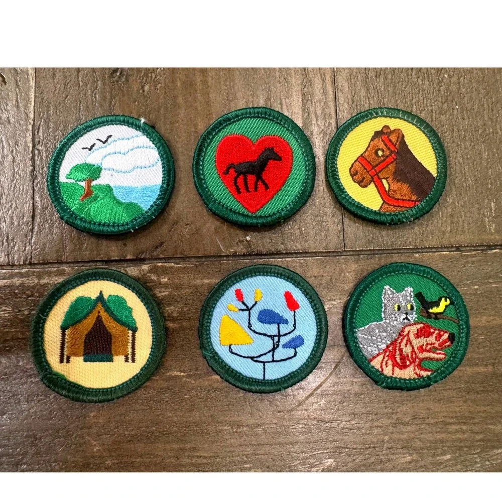 Vintage Girl Scout Proficiency Badge Lot of 6 Horse Camping Nature Wildlife 80s